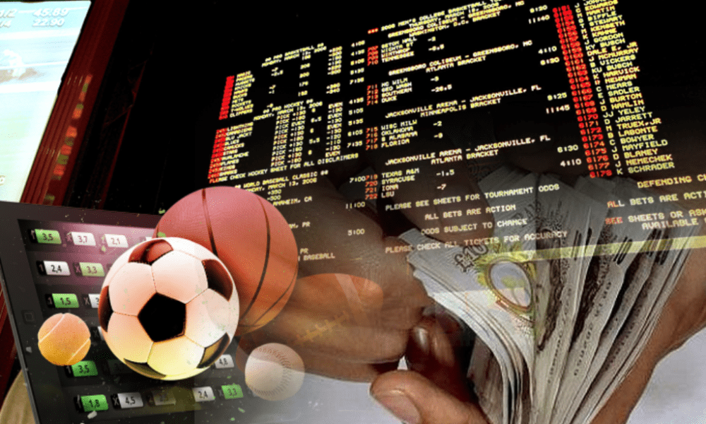 The top sports that dominate the world of betting - Just All Stars .com