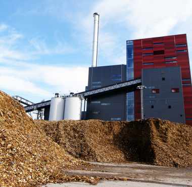 Investing in Biomass Energy